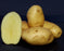 Potatoes -Seed Potatoes