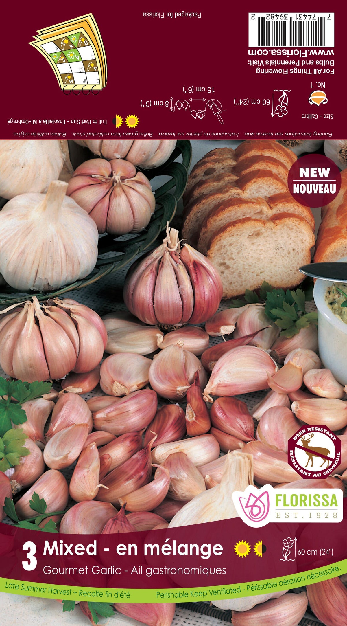 Garlic German Red — Dutch Growers Regina