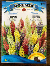 Lupin Russell Mix - Seed Packet