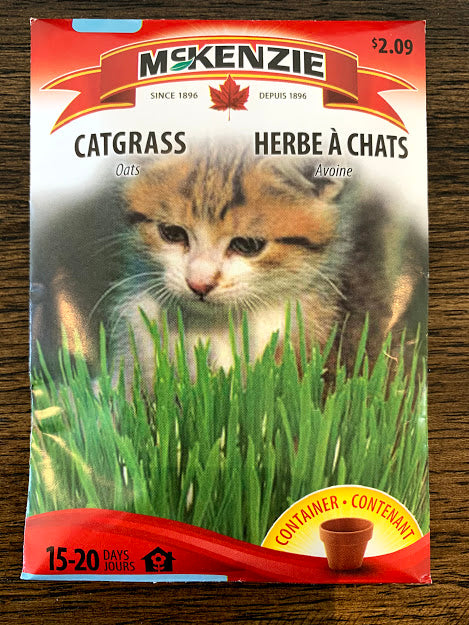 Catgrass - Seed Packet