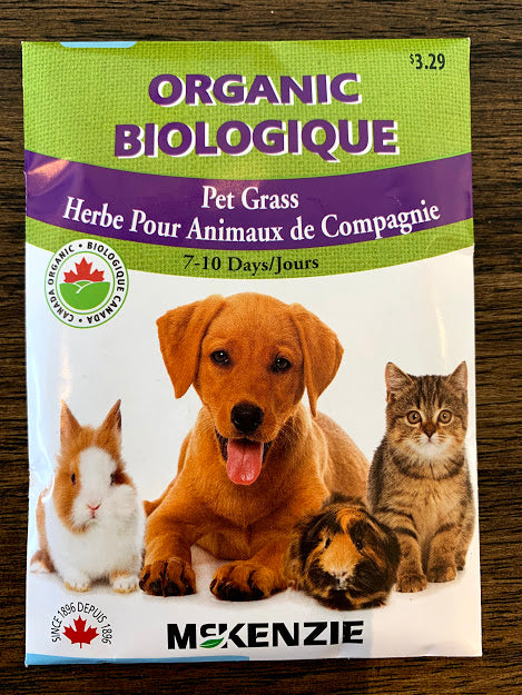Catgrass - Seed Packet
