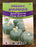 Squash Seeds - Seed Packet