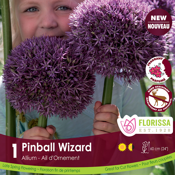 Allium Pinball Wizard