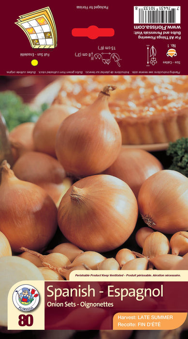 Onion - Spanish
