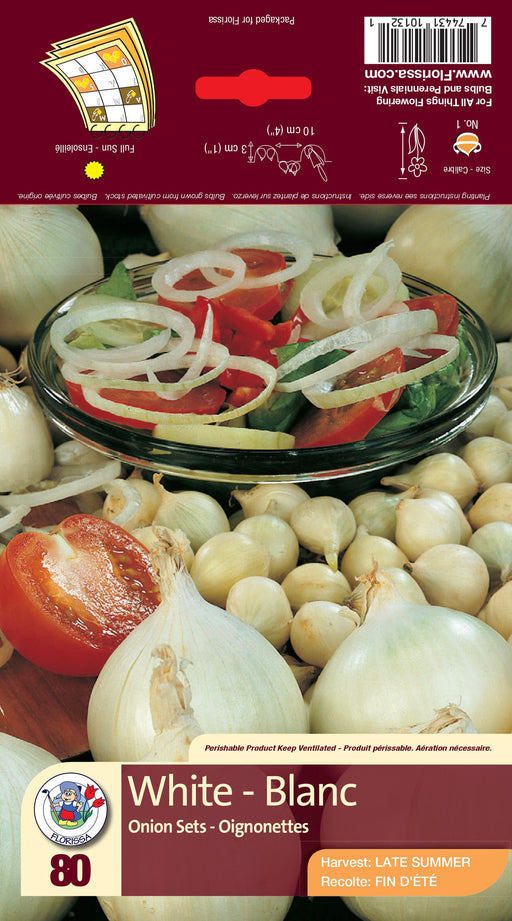 Onion - White 80 Pack
