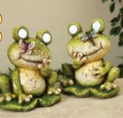 Frog Solar 8"