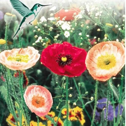 Hummingbird Garden Jumbo - Seed Packet