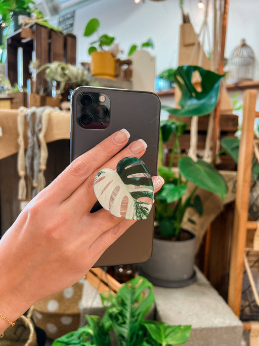 Rare Houseplant Phone Grip Monstera Albo | Cellphone Accessory