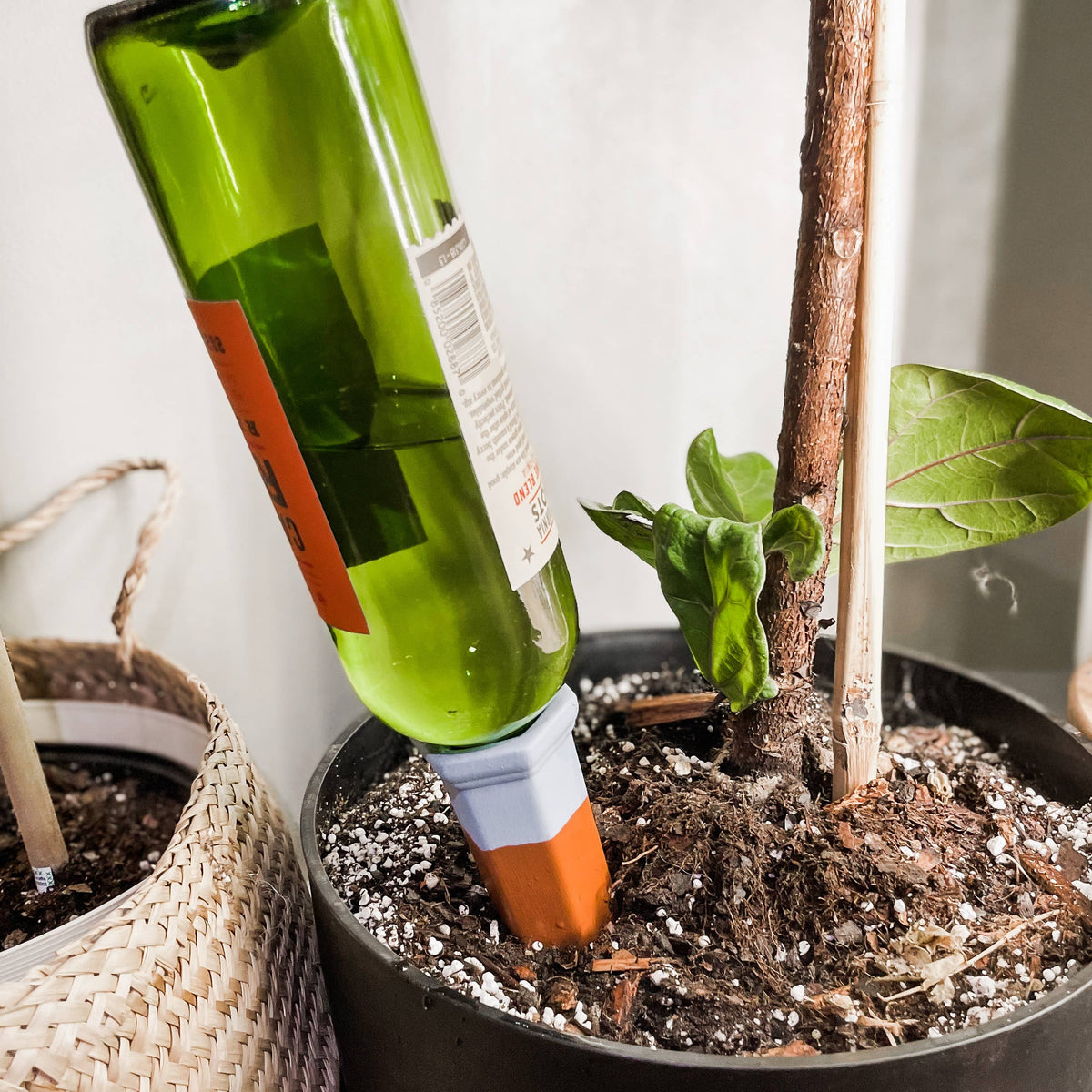 self watering spikes for plants Terracotta Self-Watering Plant Spikes