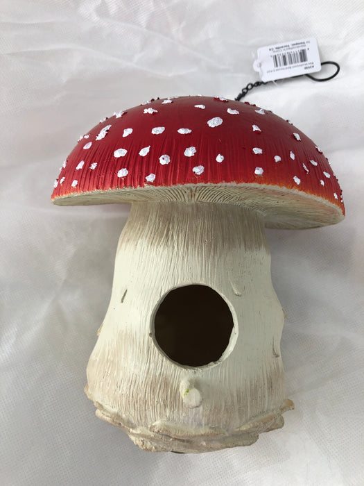 Birdhouse Mushroom