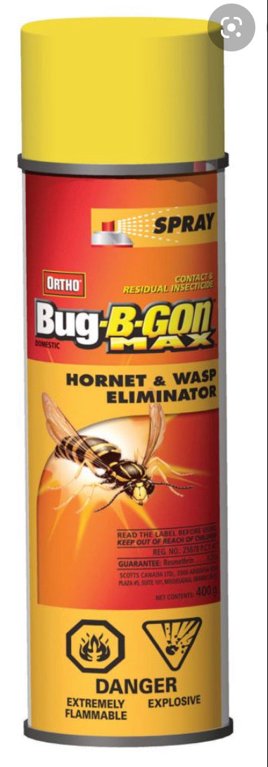 Bug B Gone - Wasp and Hornet Spray