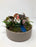 Copy of Make and Take -Fairy Garden July 6 at 11am