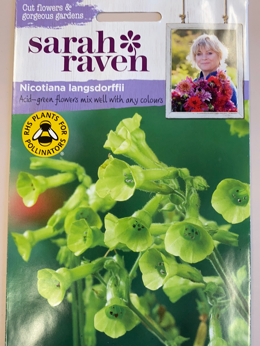 Nicotiana langsdorffii -Seed Packet- Sarah Raven