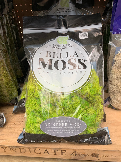 Moss - Bagged