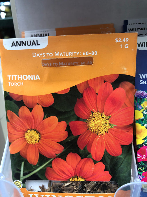 Tithonia Torch