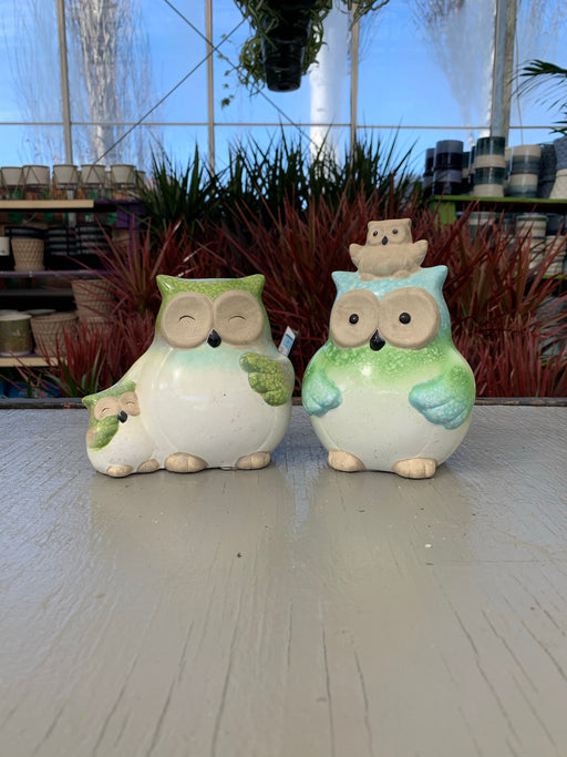 Two Toned Owls
