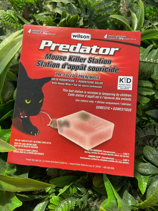 Wilson Predator Rat & Mouse control