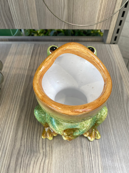 Pot Frog Open Mouth