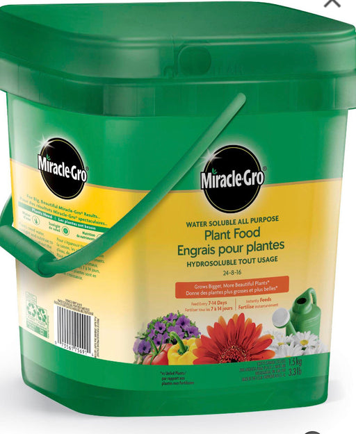 Miracle Gro - All Purpose - 24-8-16