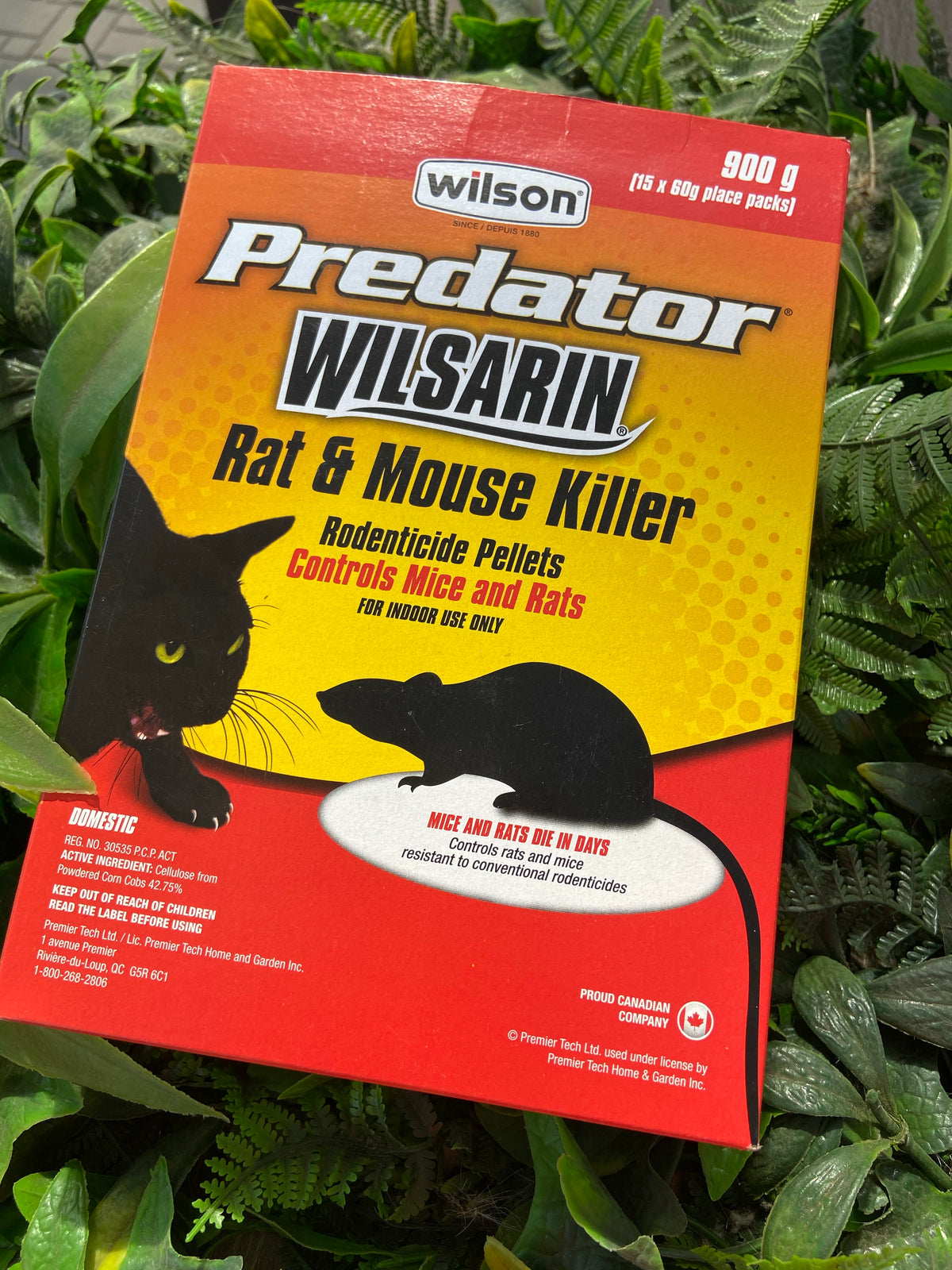 Wilson Predator Rat & Mouse control — Dutch Growers Regina