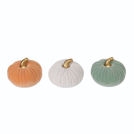 Velours pumpkin -pastel