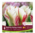 Tulip Viridiflora (Green Flamed) Long Lasting