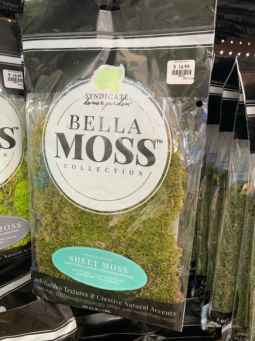Moss - Bagged