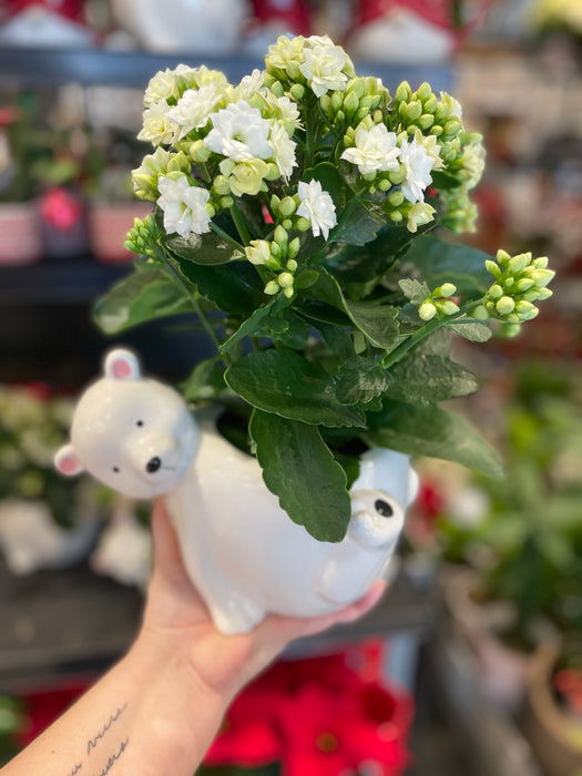 White polar bear planter