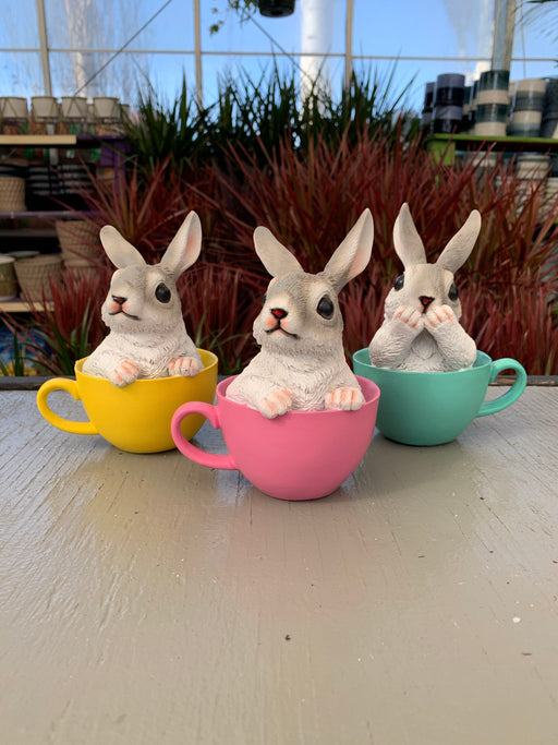Bunny in a Cup