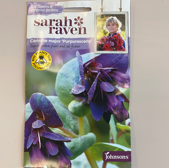 Cerinthe major 'Purpurascens'  - Seed Packet- Sarah Raven