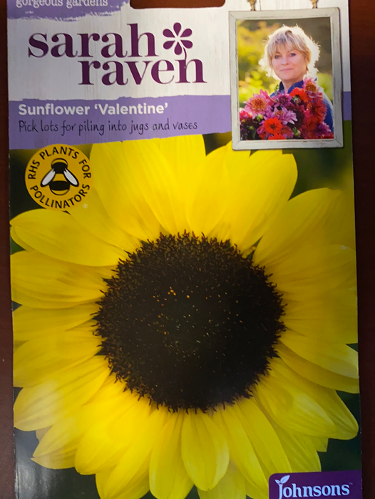 Sunflower 'valentine' -Seed Packet- Sarah Raven