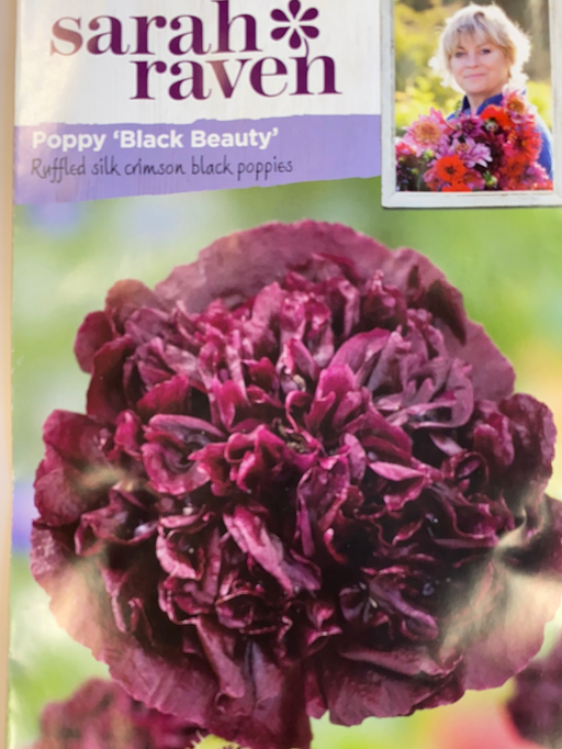 Poppy 'Black Beauty' -Seed Packet- Sarah Raven