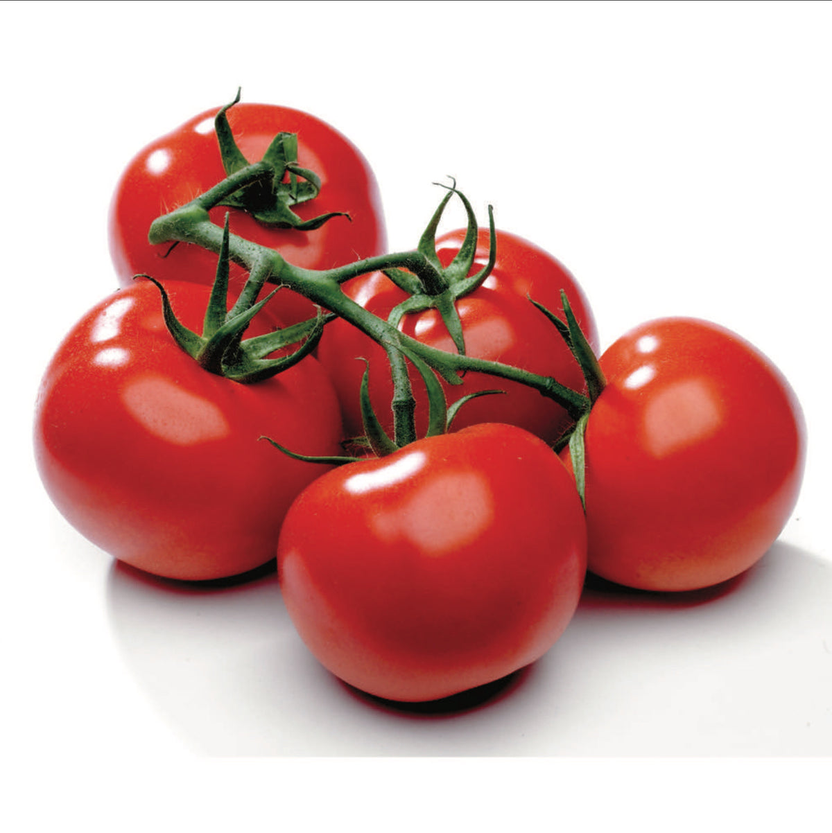 McKenzie Seed - Tomato Beefsteak (Bush) Organic