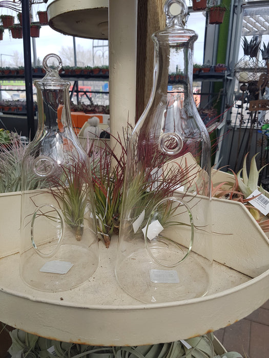 Glass Planter Jar