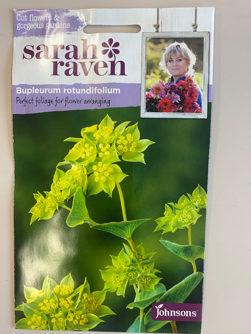 Bupleurum rotundifolium  - Seed Packet- Sarah Raven
