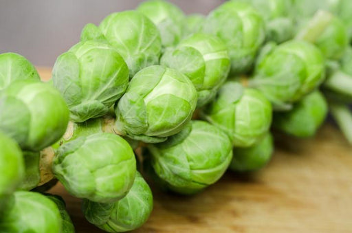 Brussels Sprouts seed Packets