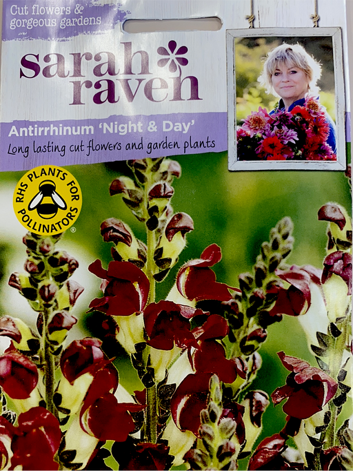 Antirrhinum'night of Day' (Snapdragon) - Seed Packet- Sarah Raven