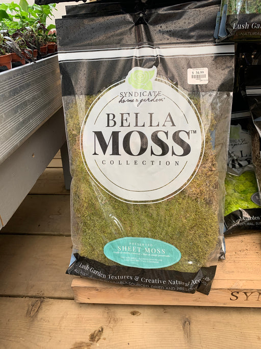 Moss - Bagged