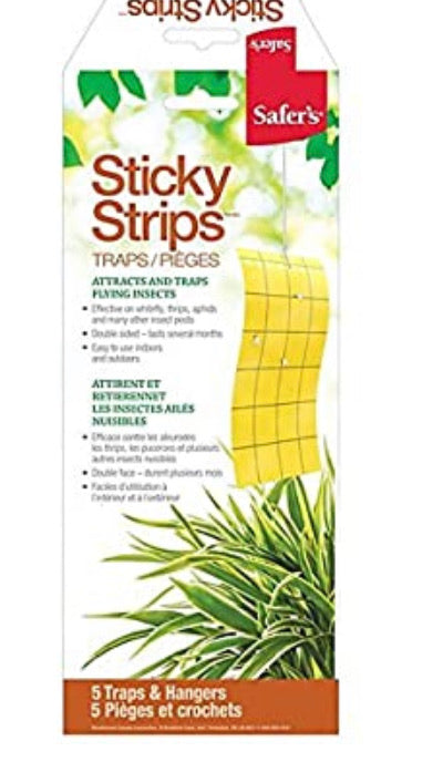 Safers  Sticky Strips