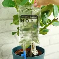 Houseplant Self watering Life Support