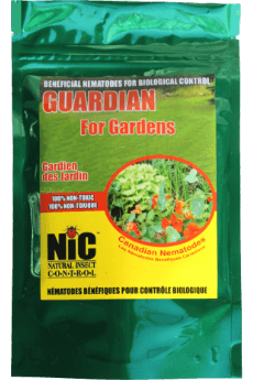 Nematodes for Gardens