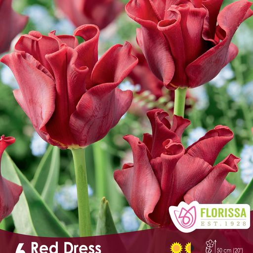 Tulip Red Dress
